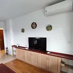 Belvedere Club к501