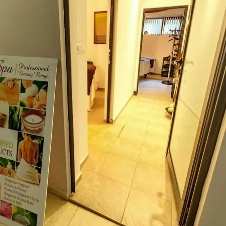 Belvedere Club к501