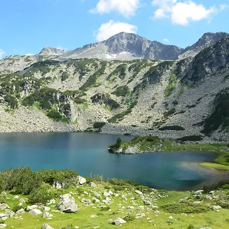 Belvedere Club к501 Bansko