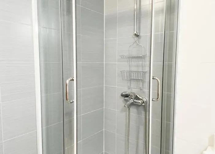 Belvedere Club к501 *