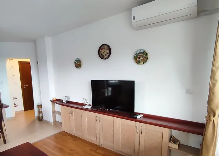 Belvedere Club к501