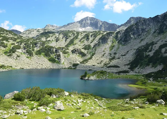 Belvedere Club к501 Banszko